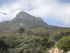 IMG_9000
