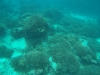 DCIM\103GOPRO
